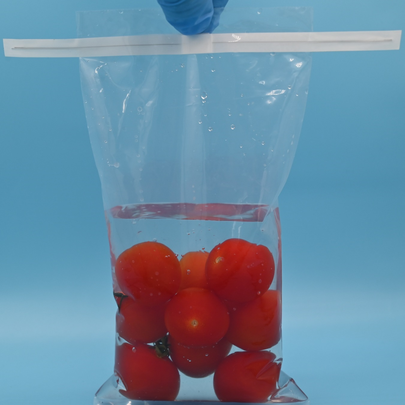 Sterile sampling bag
